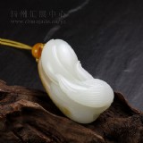 ��֬��������-�ڽڸߣ�С����
